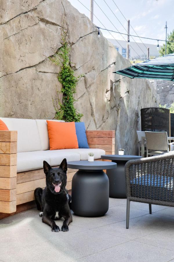 Ayres Hotel Vista Carlsbad Zewnętrze zdjęcie